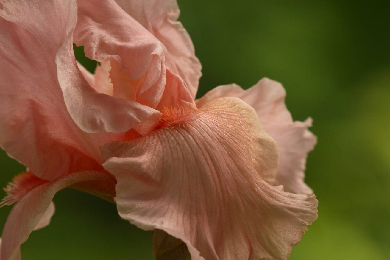 2015 05 20 HTP 000057541